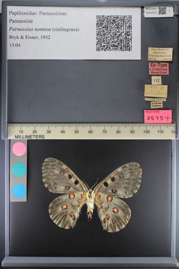 Media type: image;   Entomology 72570